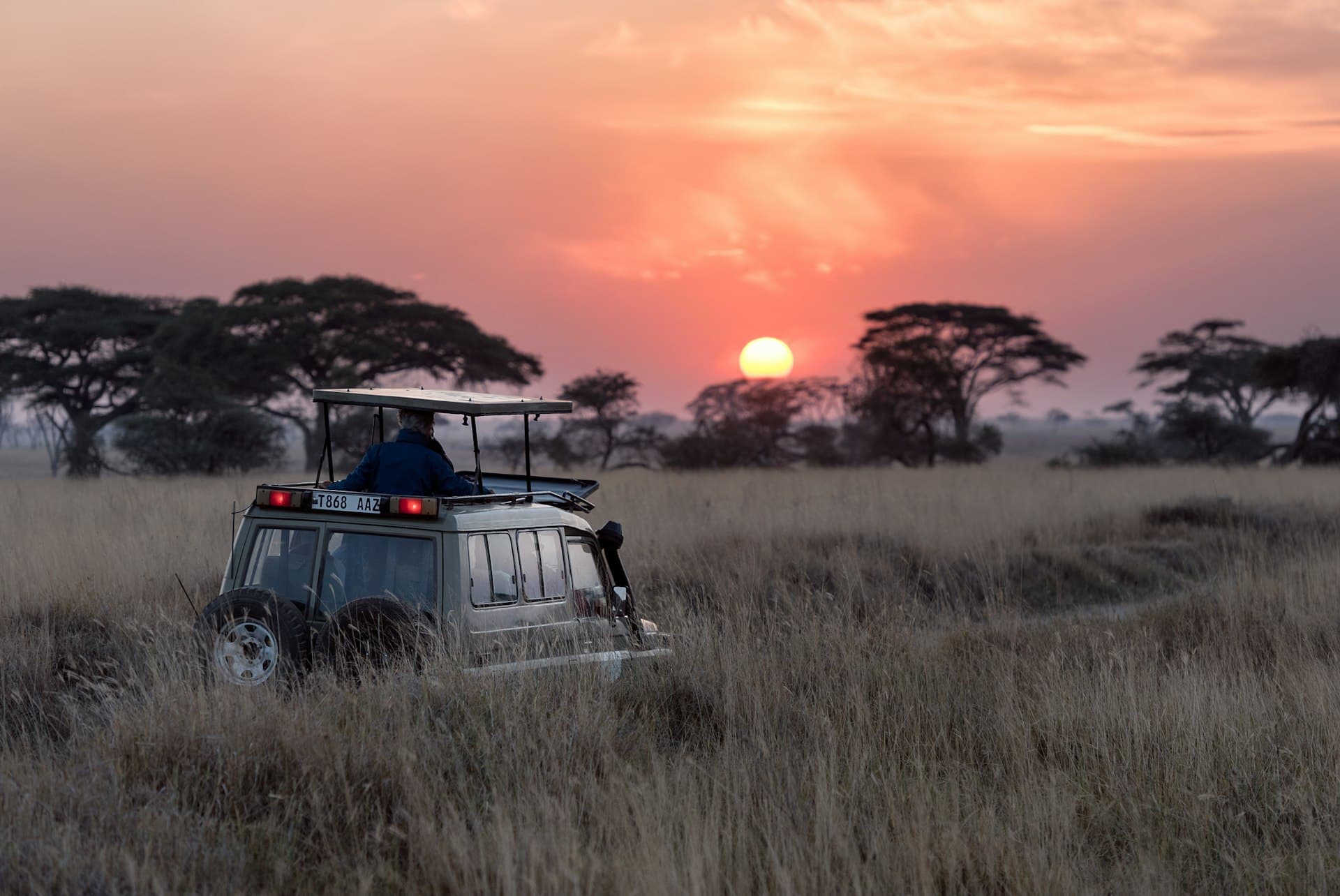 Serengeti: The Great Migration